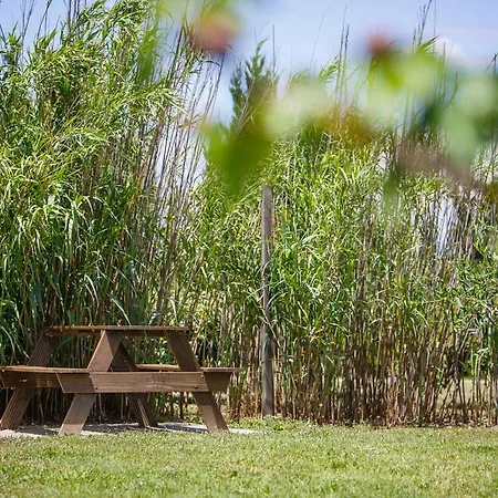 Vakantiehuis Le Petit Viala *