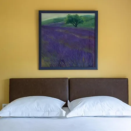 Le Petit Viala * Capestang