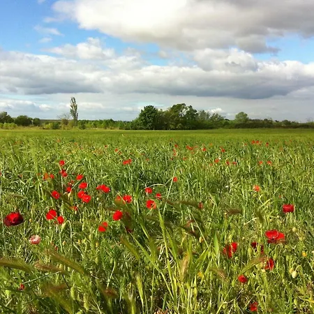 Le Petit Viala Vakantiehuis