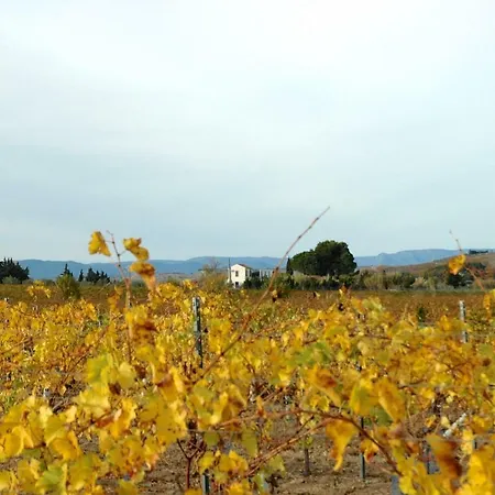 Vakantiehuis Le Petit Viala *