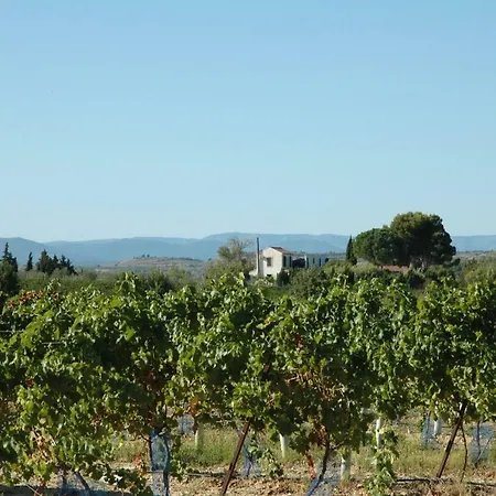 Vakantiehuis Le Petit Viala *