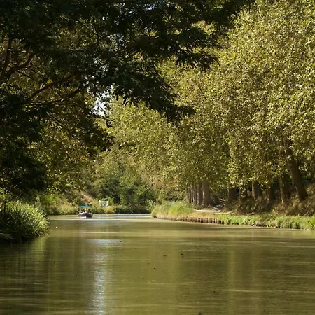 Vakantiehuis Le Petit Viala Capestang