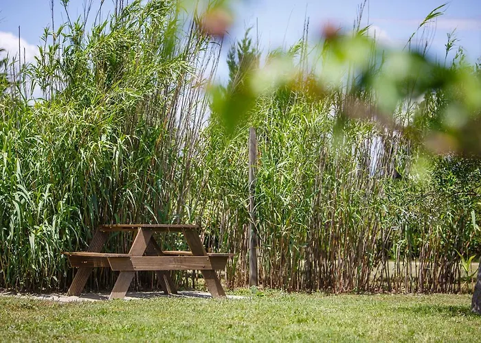 Dom wakacyjny Le Petit Viala *