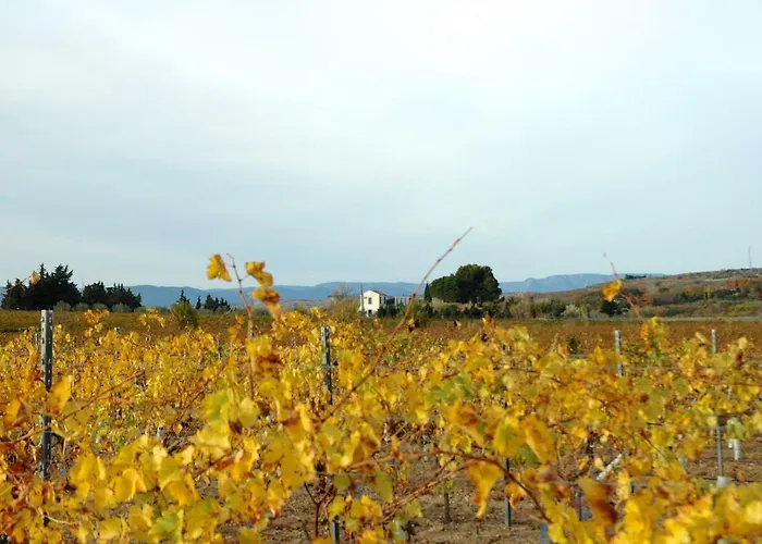 Casa de Férias Le Petit Viala *