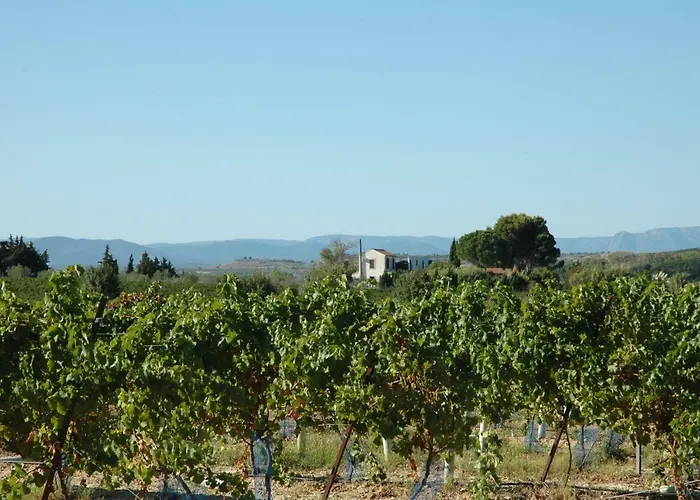 Casa de Férias Le Petit Viala *