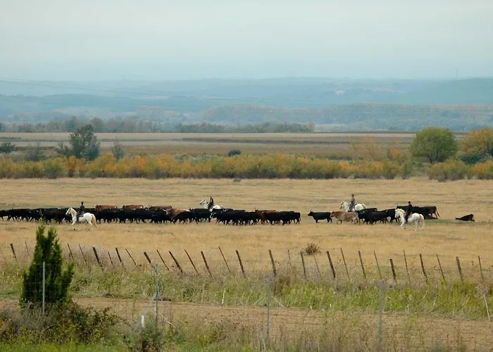 Le Petit Viala Casa de Férias *